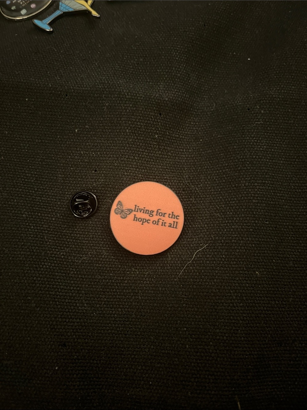 Taylor Swift Pink Round Laptop Accessory Pin β Living for the Hope of It All